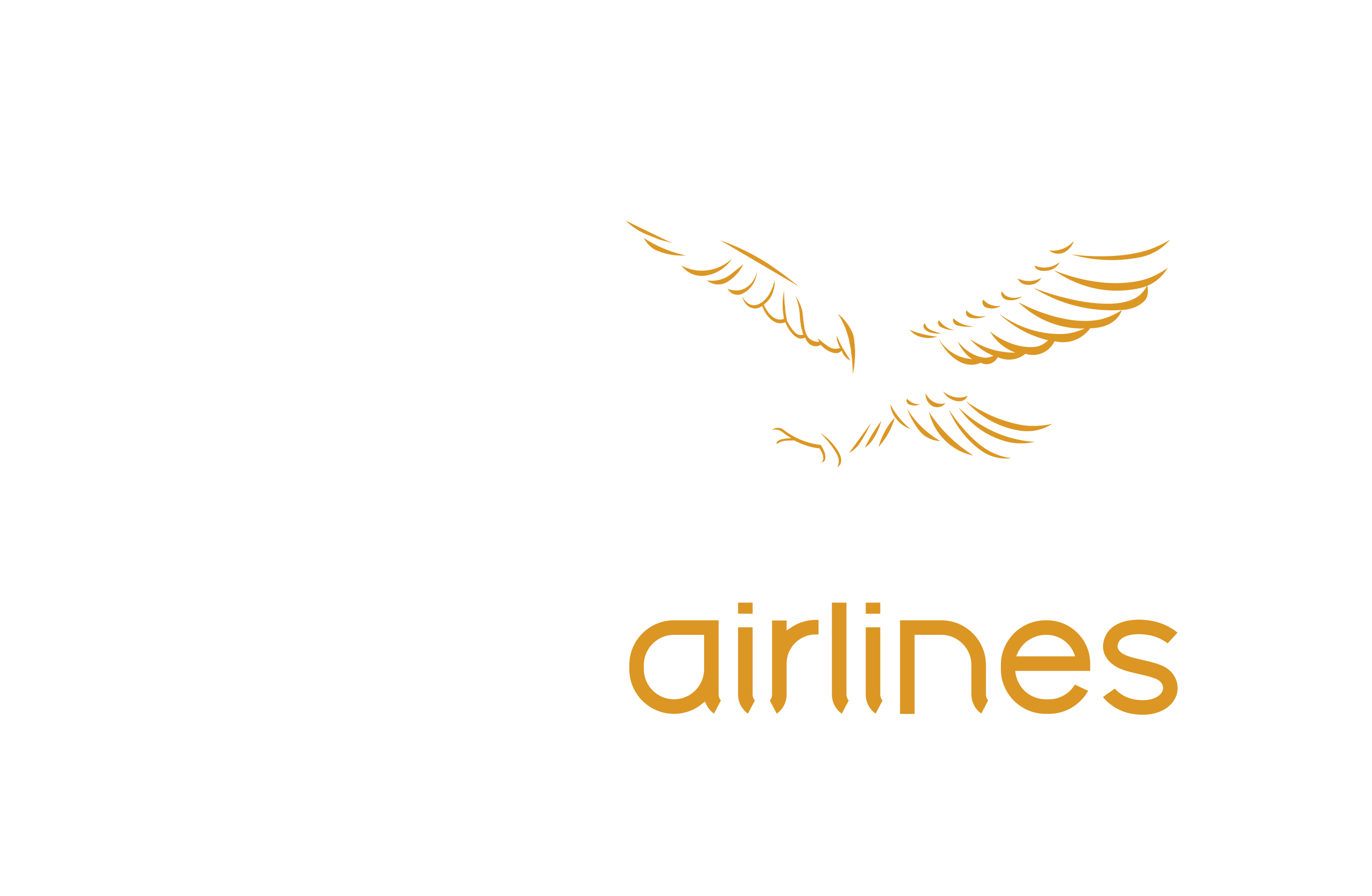 Eagle Airlines